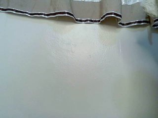 sexybounty2 Porn Show