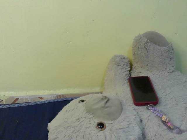 sexybounty2 webcam bongacams model stream image