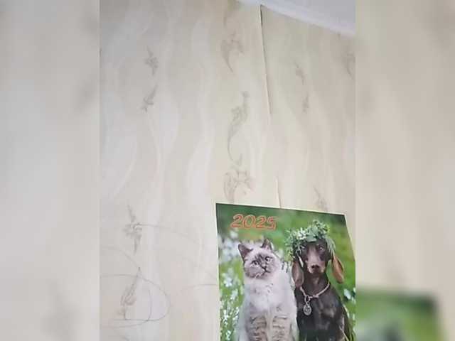 TatKotik's BongaCams show and profile