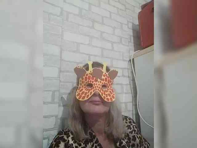 TatKotik webcam