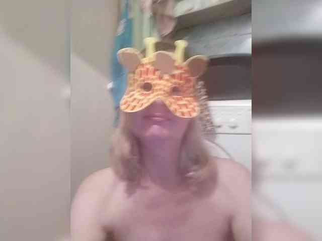 TatKotik webcam