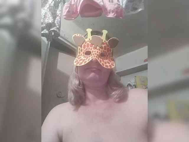 TatKotik webcam