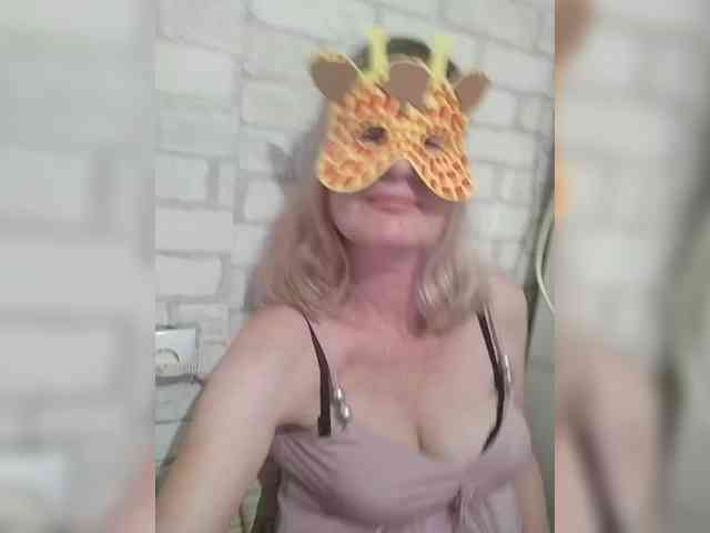 TatKotik webcam