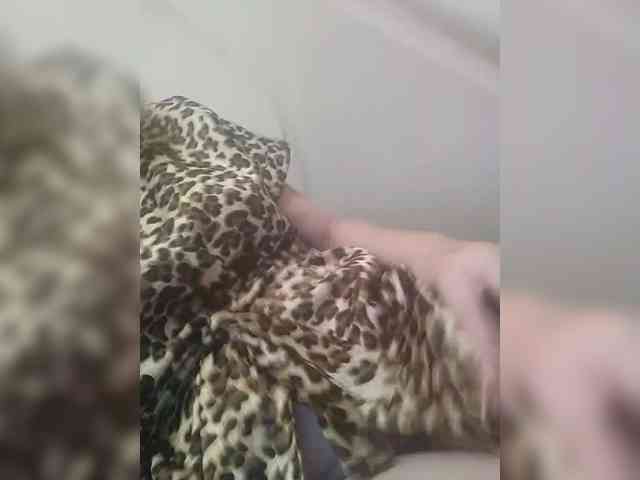 TatKotik webcam