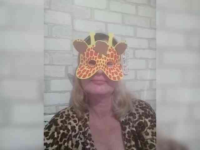 TatKotik webcam