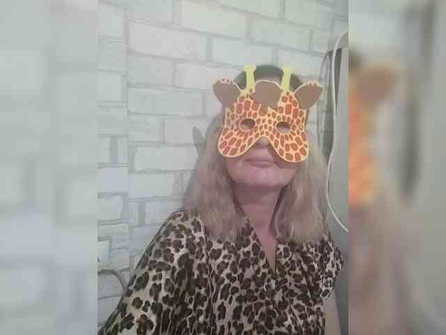 TatKotik webcam