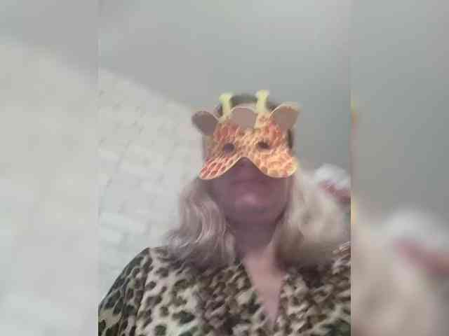 TatKotik webcam