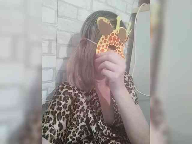 TatKotik webcam