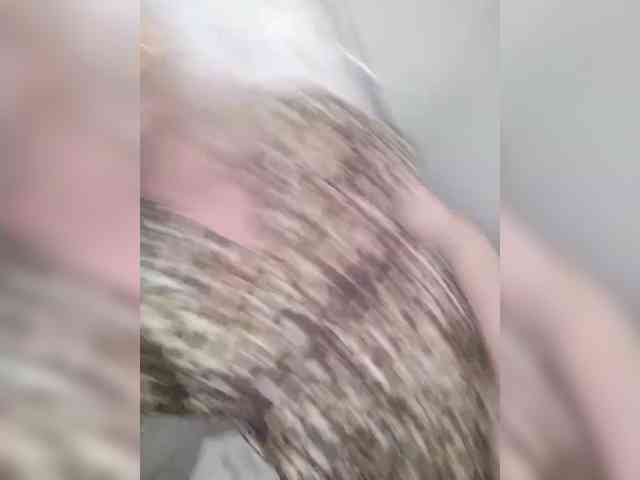 TatKotik webcam
