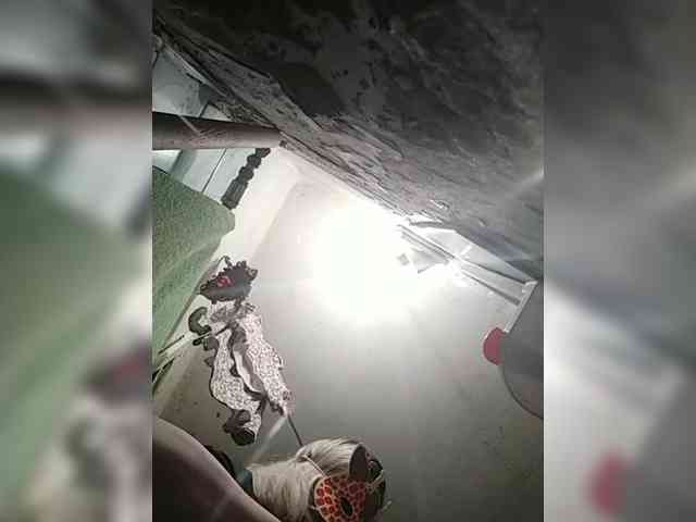 TatKotik webcam
