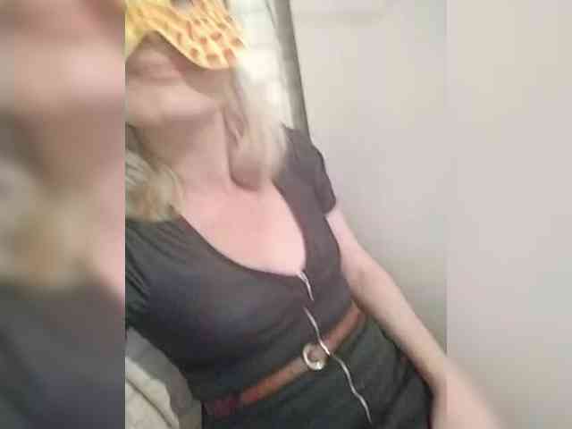 TatKotik webcam