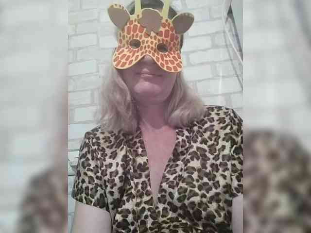 TatKotik webcam