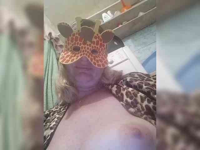 TatKotik webcam