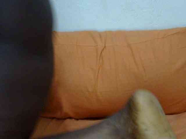 sexxyass6 webcam