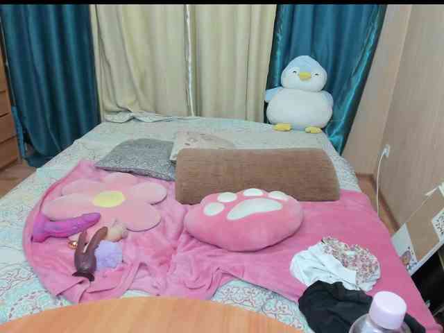 Dia-Angel webcam