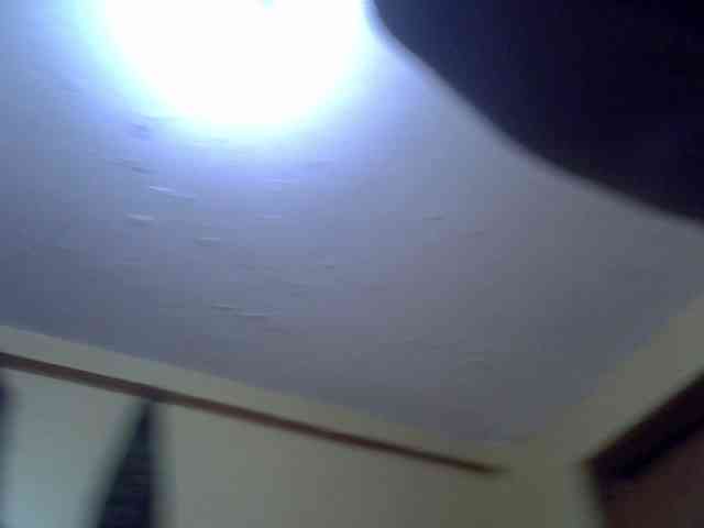 Quinter_sasha webcam