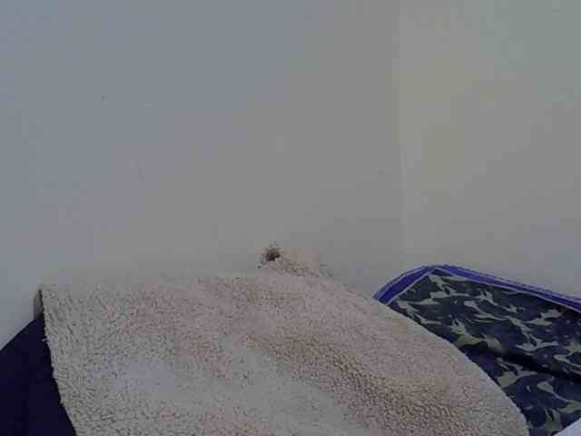 Quinter_sasha webcam