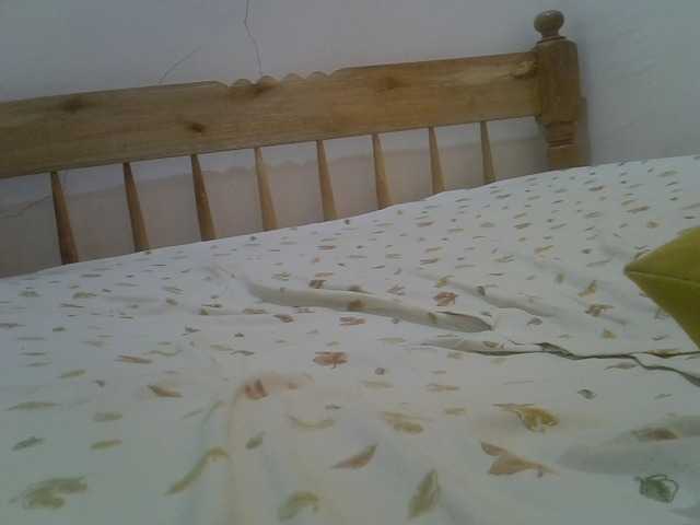 Preview of doracandy