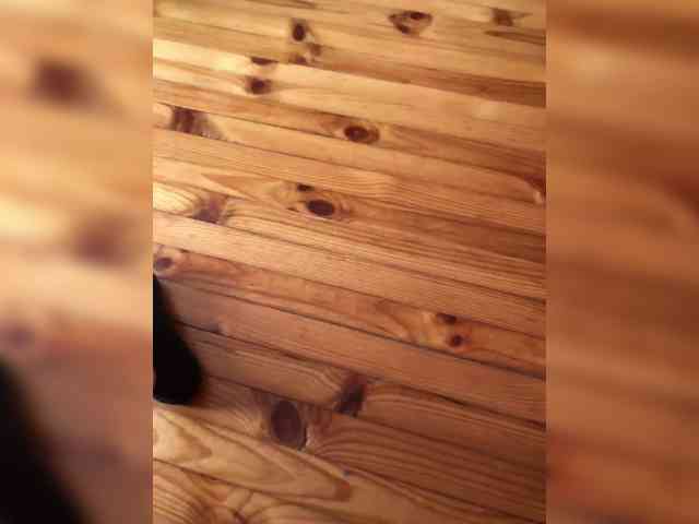 Mishacr7 Live Webcam on BongaCams