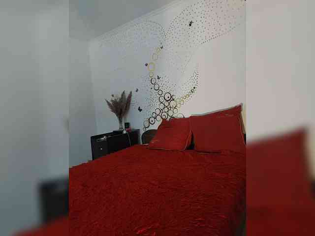 SkyXS webcam