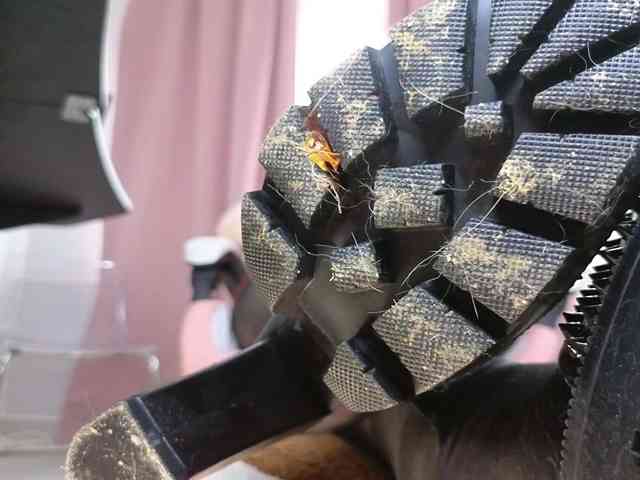 fairyxblair Live Webcam on BongaCams