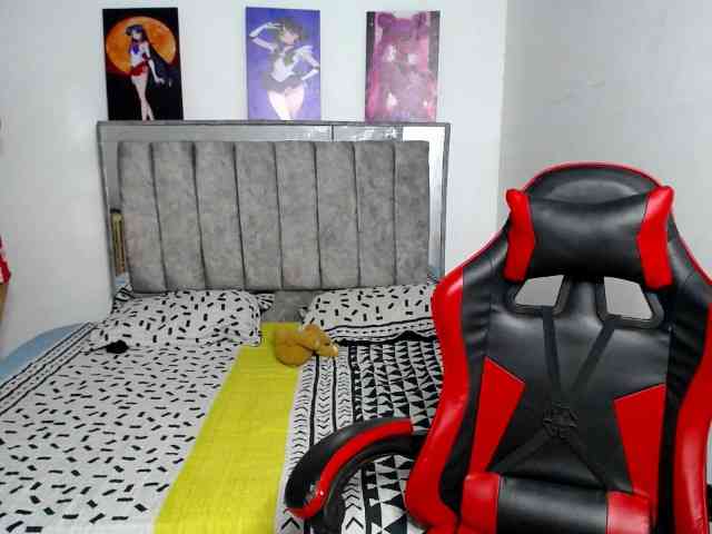 liss30o webcam