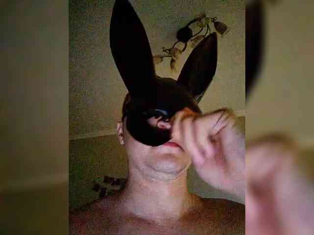 LiSA69-mur webcam