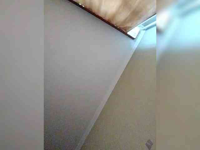 LiSA69-mur webcam