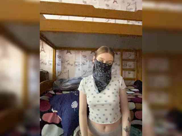 hiPOLLY webcam