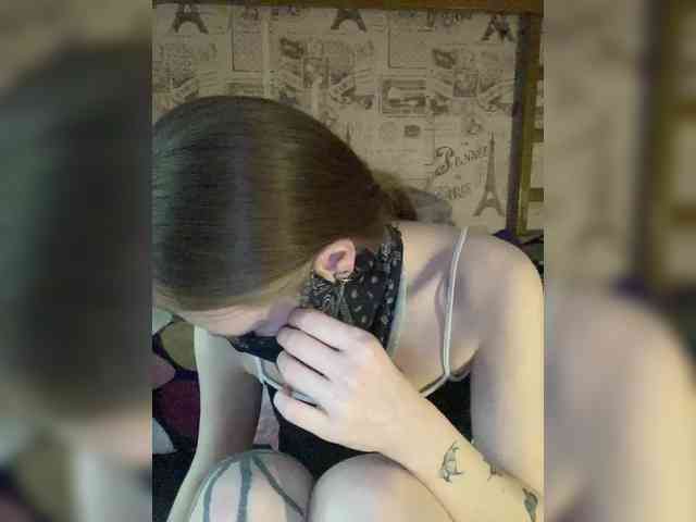 BabyPolly webcam