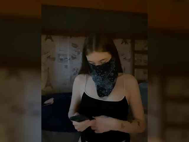 hiPOLLY webcam