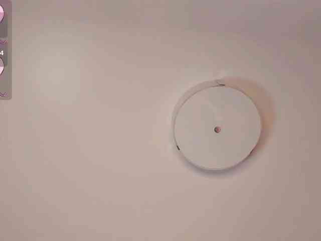 TheLostRabbit webcam