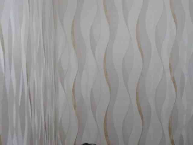 LauraBree webcam