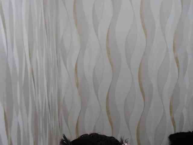 LauraBree webcam