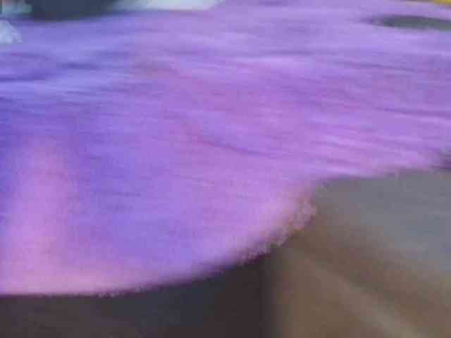 lily-blues webcam