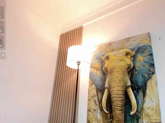 Layla-arabelle Live Webcam on BongaCams