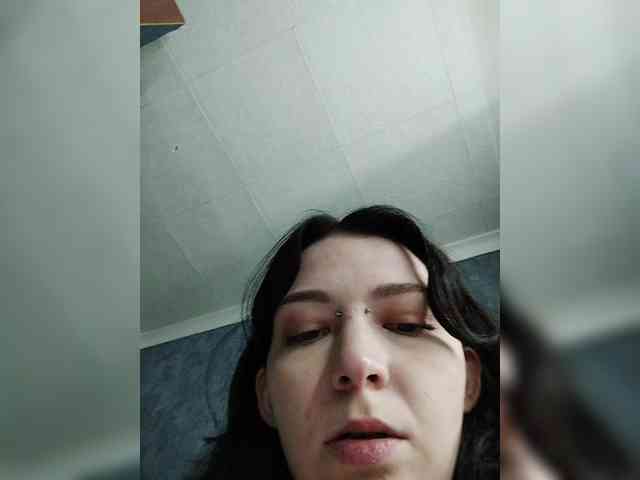 Lirras webcam