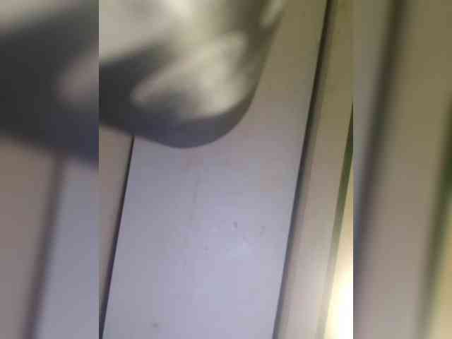 Dianae webcam