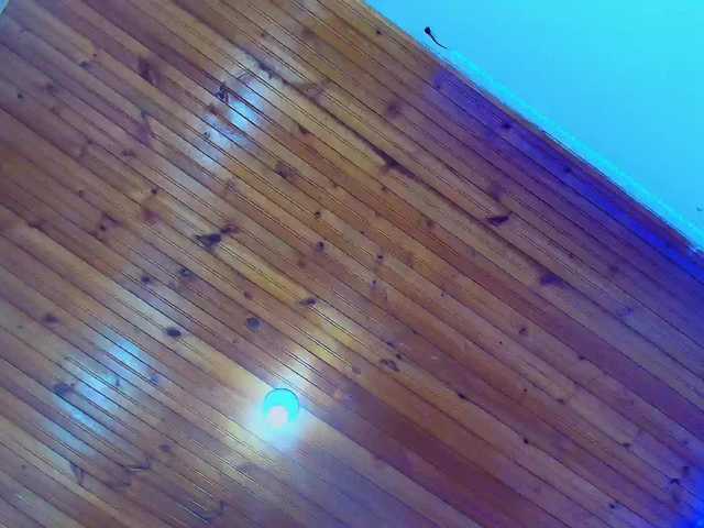 KattyLatina's BongaCams show and profile