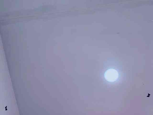 KattyLatina KattyLatina