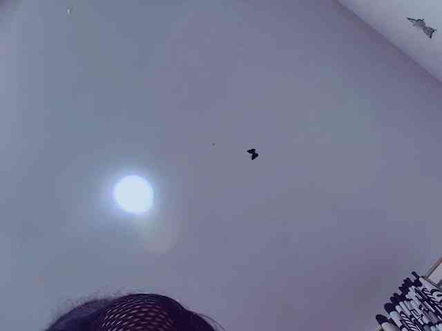 KattyLatina KattyLatina