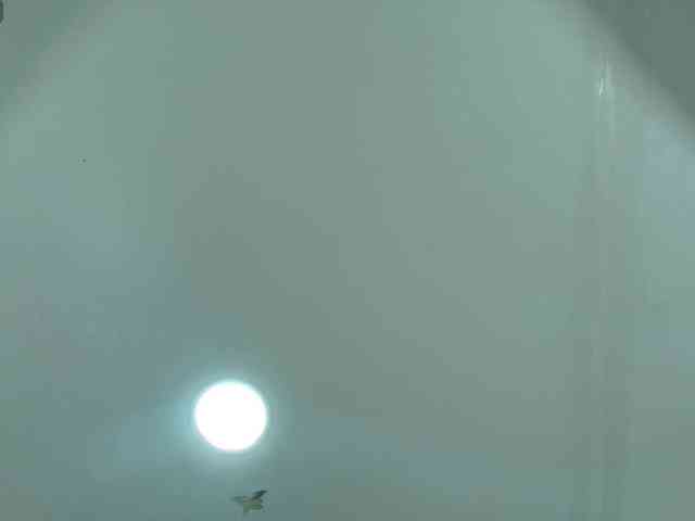 KattyLatina webcam