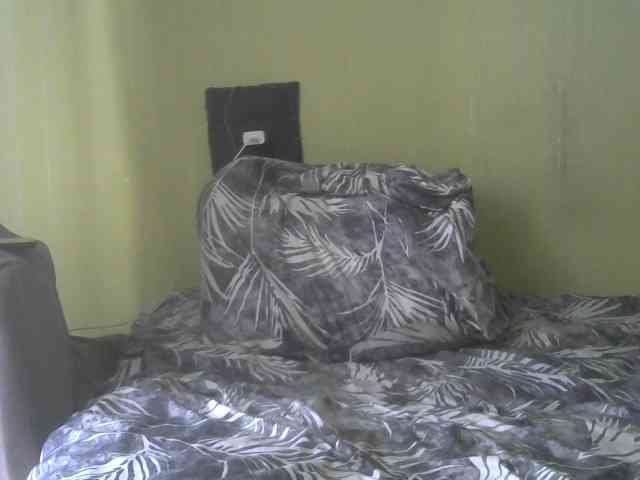 Lisamilf webcam