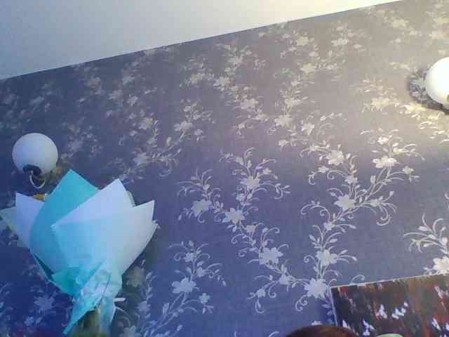 Katrinala webcam