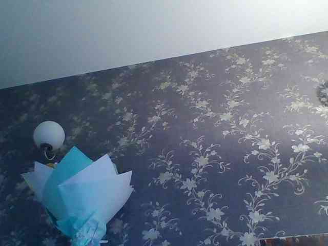 Katrinala webcam