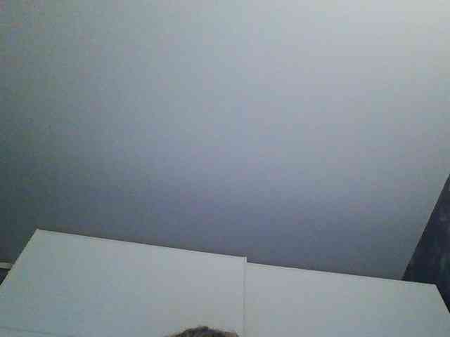 Katrinala webcam