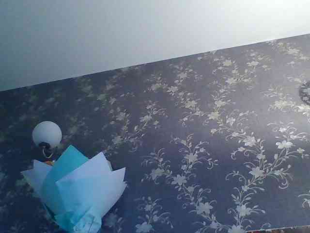 Katrinala webcam