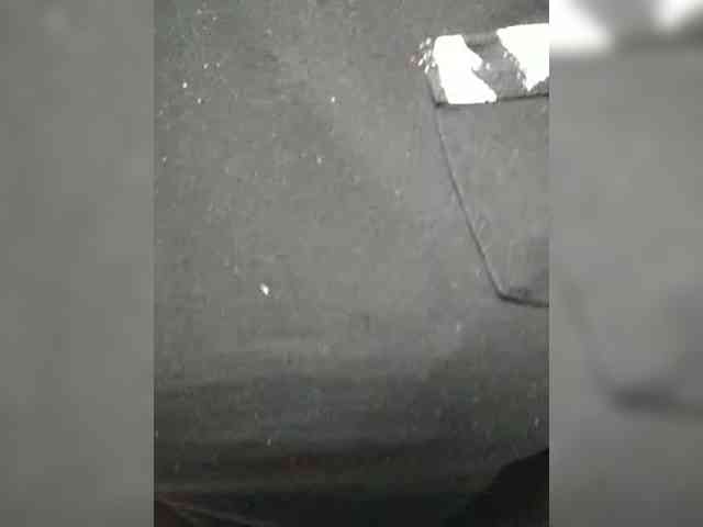 Sexigirl-1 webcam