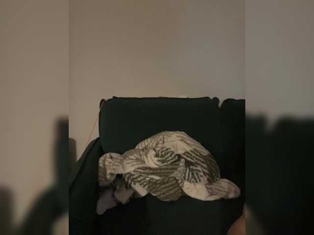 IRAONIC's BongaCams show and profile