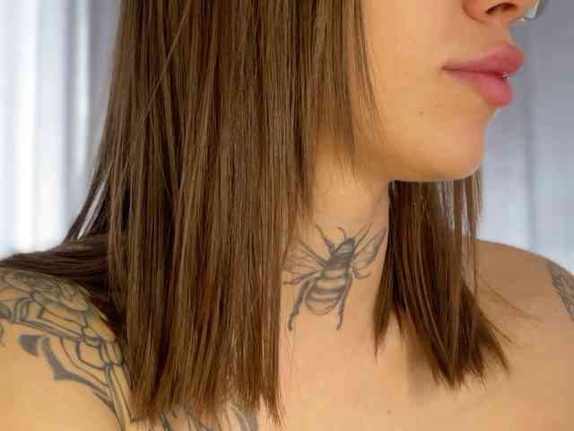 IRAONIC webcam